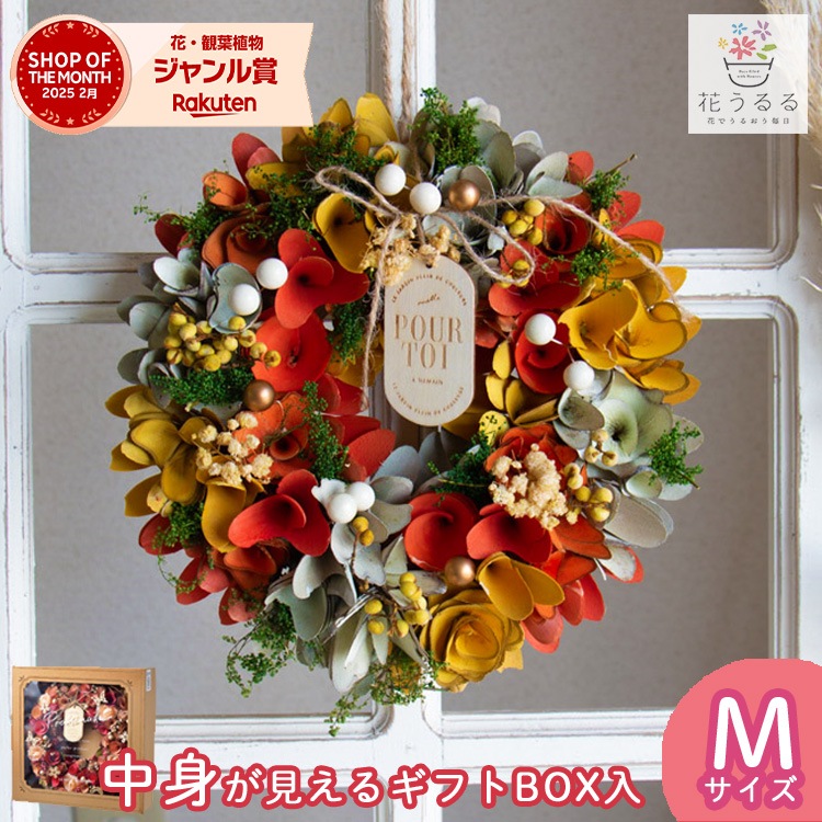  �꡼�� �ɥ饤�ե� [���������顼�꡼�� hw646-b]ľ��26cm