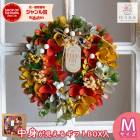  �꡼�� �ɥ饤�ե� [���������顼�꡼�� hw646-b]ľ��26cm