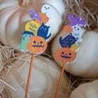 ���󤻿���Ʊ��������̵�����᡼���ؤ�OK���ϥ������� ���� HW �����ԥå� �ڥϥ�������ĥॺ 2�� HW636s��