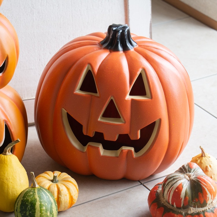 �ϥ������� ���� �饤�ȡڤޤ�ޤ뤫�ܤ��� M hw626��ñ3 ���� 2�� �����