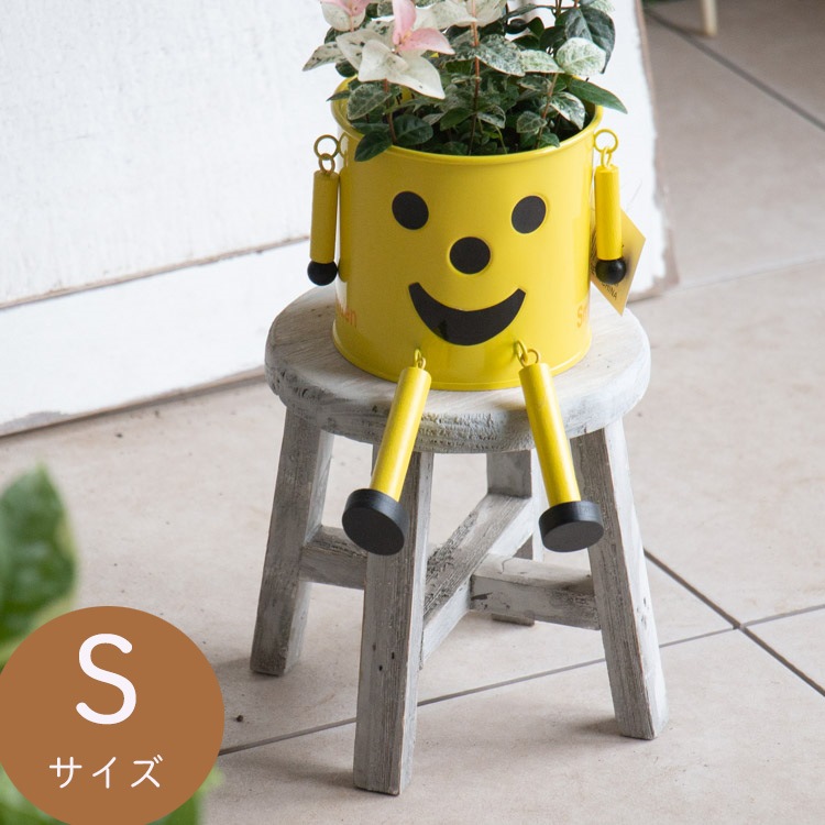 �ե�������� �֥��å� �ߥ� ���� �� �ӥ������ס�wrk21-s15�� �⤵��15cm 