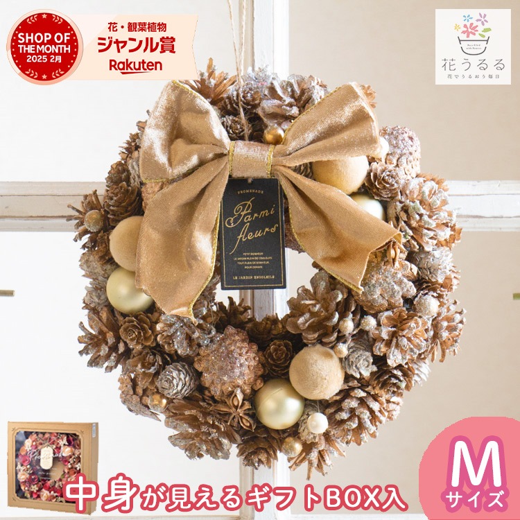 �꡼�� �ɥ饤�ե� [�֥�ꥢ��ȥ������]M������ ľ��23cm