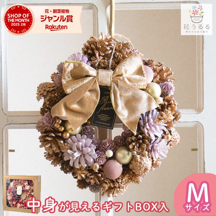 �꡼�� �ɥ饤�ե� [�֥�ꥢ��ȥ�����ɥԥ�]M������ ľ��23cm