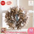 �꡼�� �ɥ饤�ե� [�����ѥ󥴡����]M������ ľ��27cm