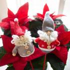 ꥹޥ   [դդ ԥå ޤޤ  (1)]᡼Բ