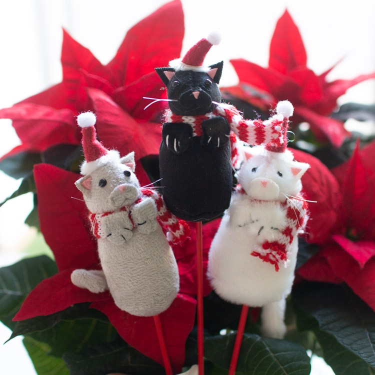 ����  [�դ�դ� �ԥå� ���ꥹ�ޥ� ����å�(1��)]�᡼�����Բ�(�����ǥ�ԥå� ���ե� �ץ쥼��� ������ ��ʪ �ĥ꡼ �����ʥ��� ���֥��� �ͤ� �̲� ������� �� ���� �ɥ� ���� ���� ������ ����ƥꥢ ���إɥ� �ɳݤ� �ǥ����ץ쥤 �̲����� 