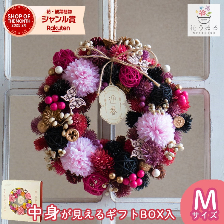 �꡼�� �ɥ饤�ե� [���ߤβֱ� ny506-b]ľ��25cm