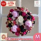 �꡼�� �ɥ饤�ե� [���ߤβֱ� ny506-b]ľ��25cm