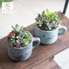 �����ʸ¤꡿¿����ʪ  �󤻿������åȡڣɡ�