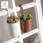 �����ʸ¤꡿¿����ʪ ���ܥƥ� �󤻿������åȡڣ̡�