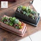 �����ʸ¤꡿¿����ʪ  ���ܥƥ� �󤻿������åȡڣΡ�