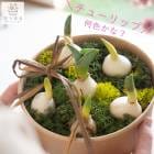 �����ָ��꡿ ��Ф��庬 �֥��塼��å�in����եȥ��åס�(�ֿ�:���ޤ���)