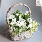 �ڿ��̸���ۥ���ƥ��������顼 ����� �֤���� �󤻿����ڥХ˥� �������� in �������� �Х����åȡ�