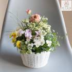 �ڿ��̸���ۥ���ƥ��������顼 ����� �֤���� �󤻿����ڽտ��饤�� in �᥿�� �ץ�󥿡���