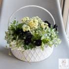 �ڿ��̸���ۥ���ƥ��������顼 ����� �֤���� �󤻿����ڥ֥�å��饤�� in �ϡ��ե�������ץ�󥿡���