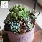 �����ʸ¤꡿¿����ʪ �󤻿�����G�� 