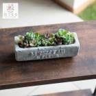 �����ʸ¤꡿¿����ʪ  �󤻿������åȡ�H��