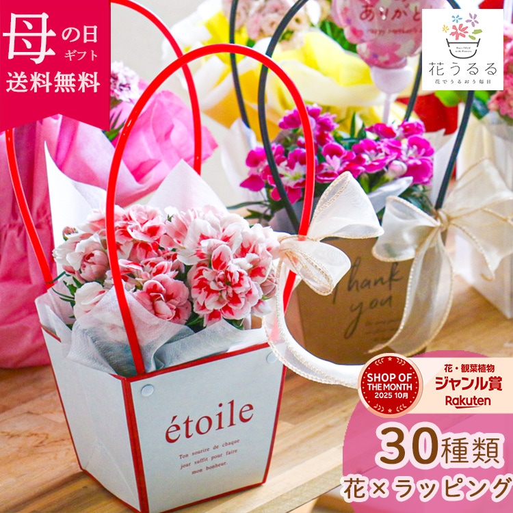 ������� �٤�Ƥ������������֤���� ���٤륮�եȥХå�or�ڹ����ե���åԥ󥰡ڥ����͡�����󡦥���󥳥��۲� ȭ���� ������� ������ ȭ �� �� ��ȭ ���� �ե����ե� �� ���� ���� ��� £��ʪ Ĺ���� ���� ���� �ԥ� ��å� ���� ��������ե�2026