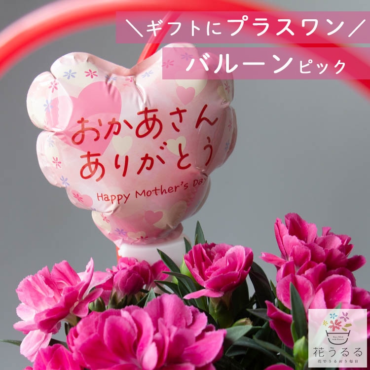 ���ץ���� �ϥ󥮥󥰡��󤻿�����ȭ���� ���� �ڥХ롼��ԥå��֤ۡ��������� ���꤬�Ȥ��סʢ��󤻿������ʤȰ����㤤ʪ����������Ʒ�Ѥ��Ƥ���������