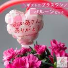 ���ץ���� �ϥ󥮥󥰡��󤻿�����ȭ���� ���� �ڥХ롼��ԥå��֤ۡ��������� ���꤬�Ȥ��סʢ��󤻿������ʤȰ����㤤ʪ����������Ʒ�Ѥ��Ƥ���������