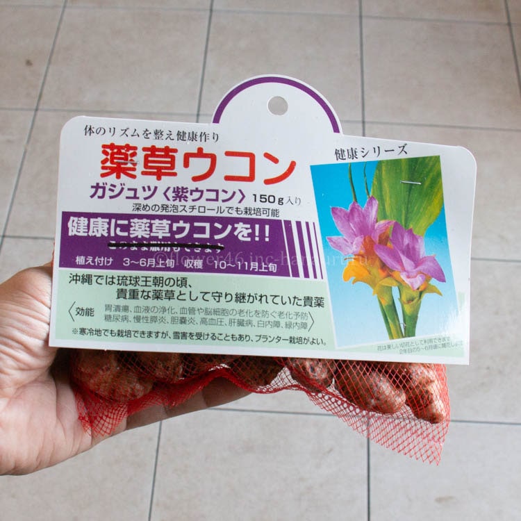 ������ ��� ���� 150g ���� �տ��� ���� �ե�����(���祦����)  �祦����(�������) 