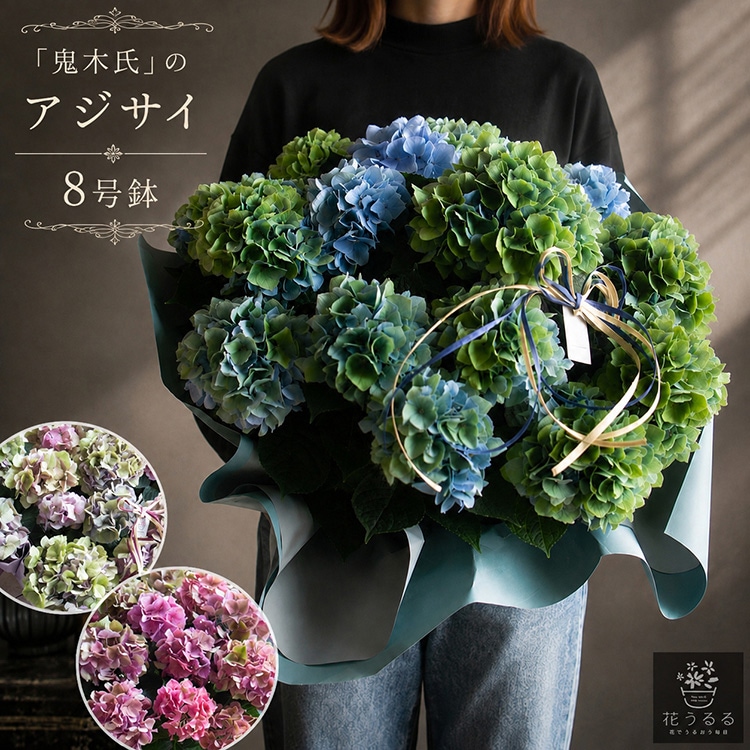 ���֤��������θ������䡿�������������ξ��ֵ��ڻ�פζ˥쥢�������۲� [�ʼ�̾���������� �����ѡ��ץ� ���ꥹ����] 8��ȭ 