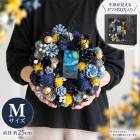 ̾��Υɥ饤�ե��꡼�� ���åۡ��������M������ 5646-b ľ����25cm 
