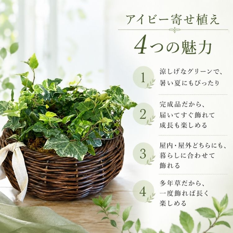��1ǯ��ڤ���롿�������Ƥ� �����ӡ��Υ꡼���󤻿����ʥ饿��꡼���ˡ�