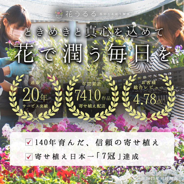 ��1ǯ��ڤ���롿�������Ƥ� �����ӡ��Υ꡼���󤻿����ʥ饿��꡼���ˡ�