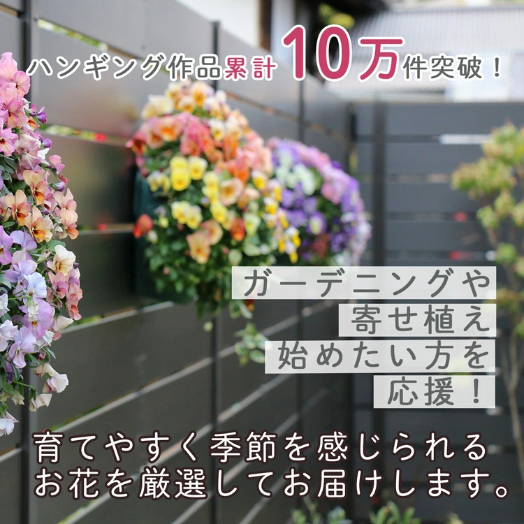 ��1ǯ��ڤ���롿�������Ƥ� �����ӡ��Υ꡼���󤻿����ʥ饿��꡼���ˡ�