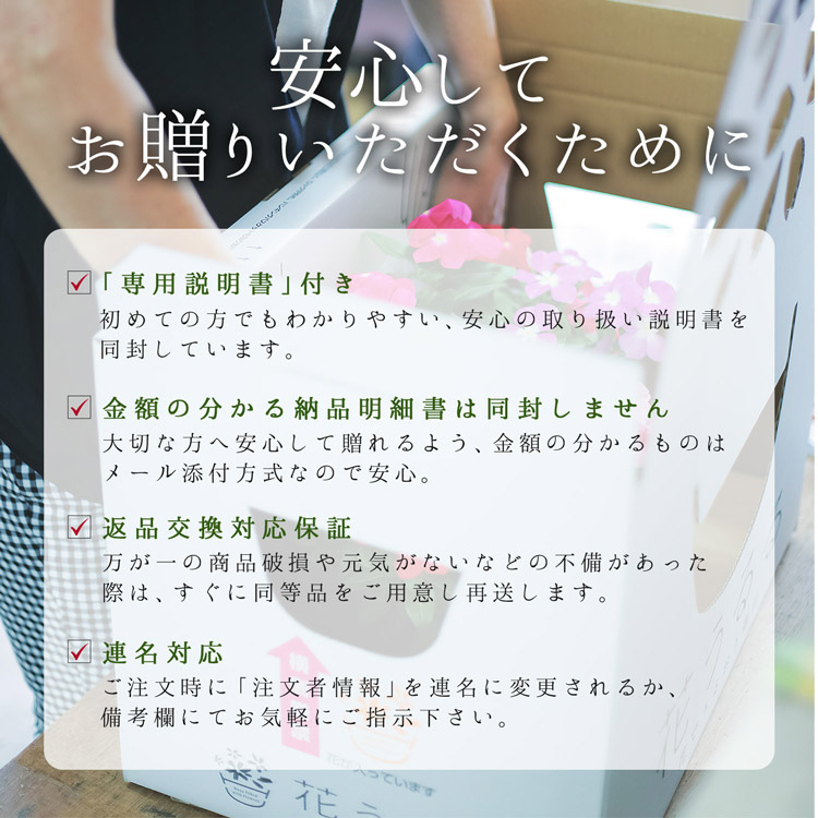 ��1ǯ��ڤ���롿�������Ƥ� �����ӡ��Υ꡼���󤻿����ʥ饿��꡼���ˡ�