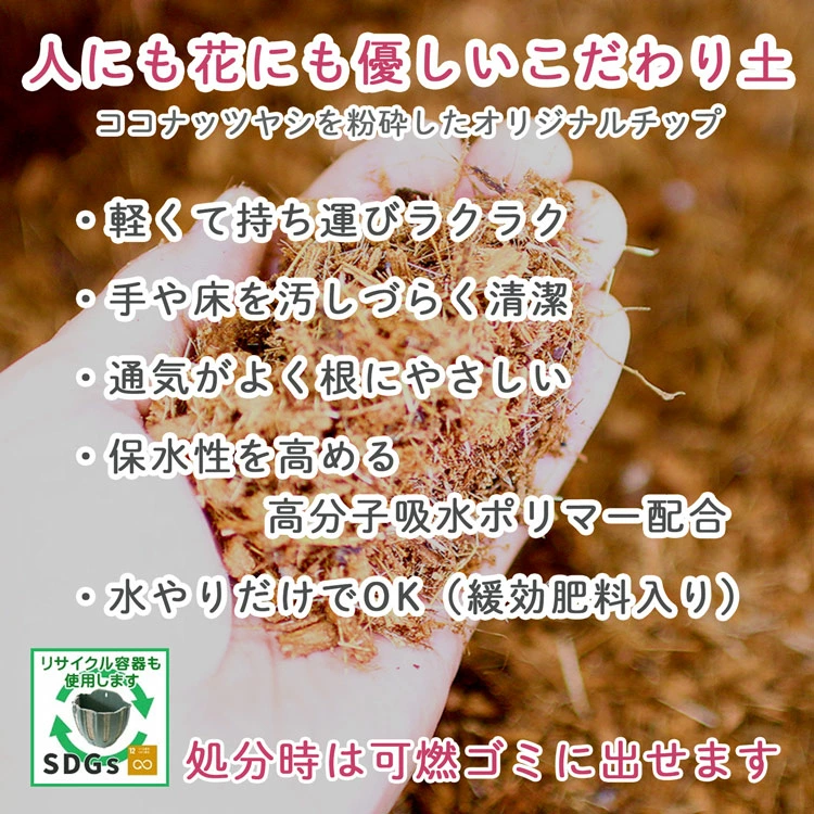 ��1ǯ��ڤ���롿�������Ƥ� �����ӡ��Υ꡼���󤻿����ʥ饿��꡼���ˡ�