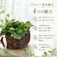 ��1ǯ��ڤ���롿�������Ƥ� �����ӡ��Υ꡼���󤻿����ʥ饿��꡼���ˡ�