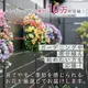 ��1ǯ��ڤ���롿�������Ƥ� �����ӡ��Υ꡼���󤻿����ʥ饿��꡼���ˡ�