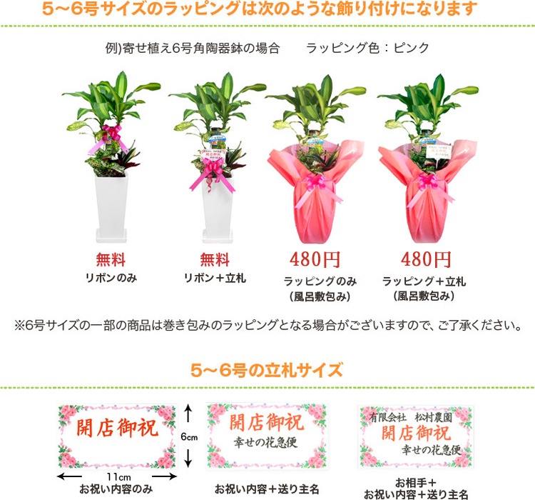 ���տ�ʪ ��󥹥ƥ�6��ѥץ饹���å�ȭ|(��) �⤵��60cm ��mons06-007��