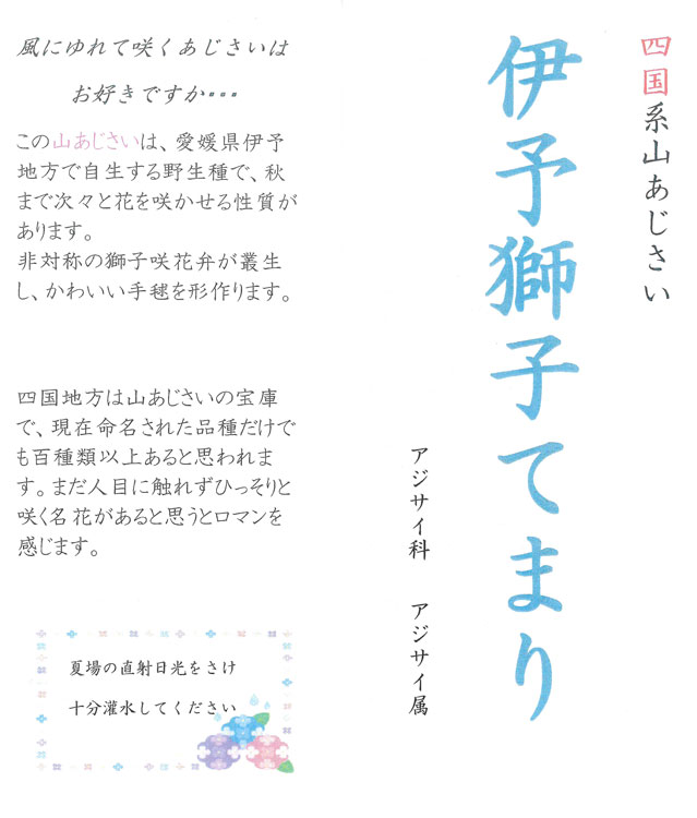 ְͽҼ(褸Ƥޤ) 5ȭ(ԥ󥯡֥롼)