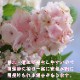 ְͽҼ(褸Ƥޤ) 5ȭ(ԥ󥯡֥롼)