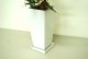 ���տ�ʪ �󤻿���(��å�)6��ѹ�ƫ��ȭ|(���) �⤵��75cm��kan-yosey06-001002��