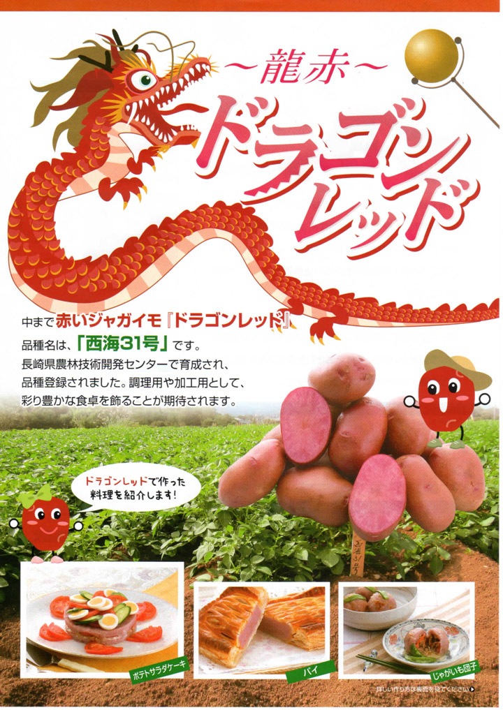 ����������̵�����ޥĥ����Τ�ʤ��������ý����ڤ��㤬���� �磻�� �쥢�ʼ�۽տ����֥ɥ饴�󡦥�å�(����31��)500g�� Ĺ�긩�� �쥢�ʼ� �տ���