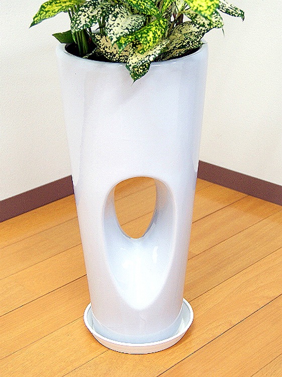 ���տ�ʪ �󤻿���(���󥷥��)7����ƫ��ȭ|(���ֹ�) �⤵��1.0m ��kan-yosec07-00123��