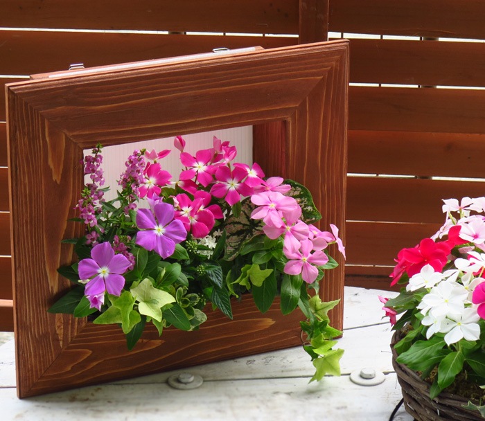 フレーム・ボード別売】入れ替え交換用の寄せ植え【送料無料】 花はな