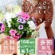 ��5/11��22ȯ������Ź�͵�No.1������� �٤�Ƥ����͡��֤���� �ڥ���˥��Υϥ󥮥󥰥Х����å� �󤻿��� [�쥮��顼������] 