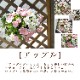 ��5/11��22ȯ������Ź�͵�No.1������� �٤�Ƥ����͡��֤���� �ڥ���˥��Υϥ󥮥󥰥Х����å� �󤻿��� [�쥮��顼������] 