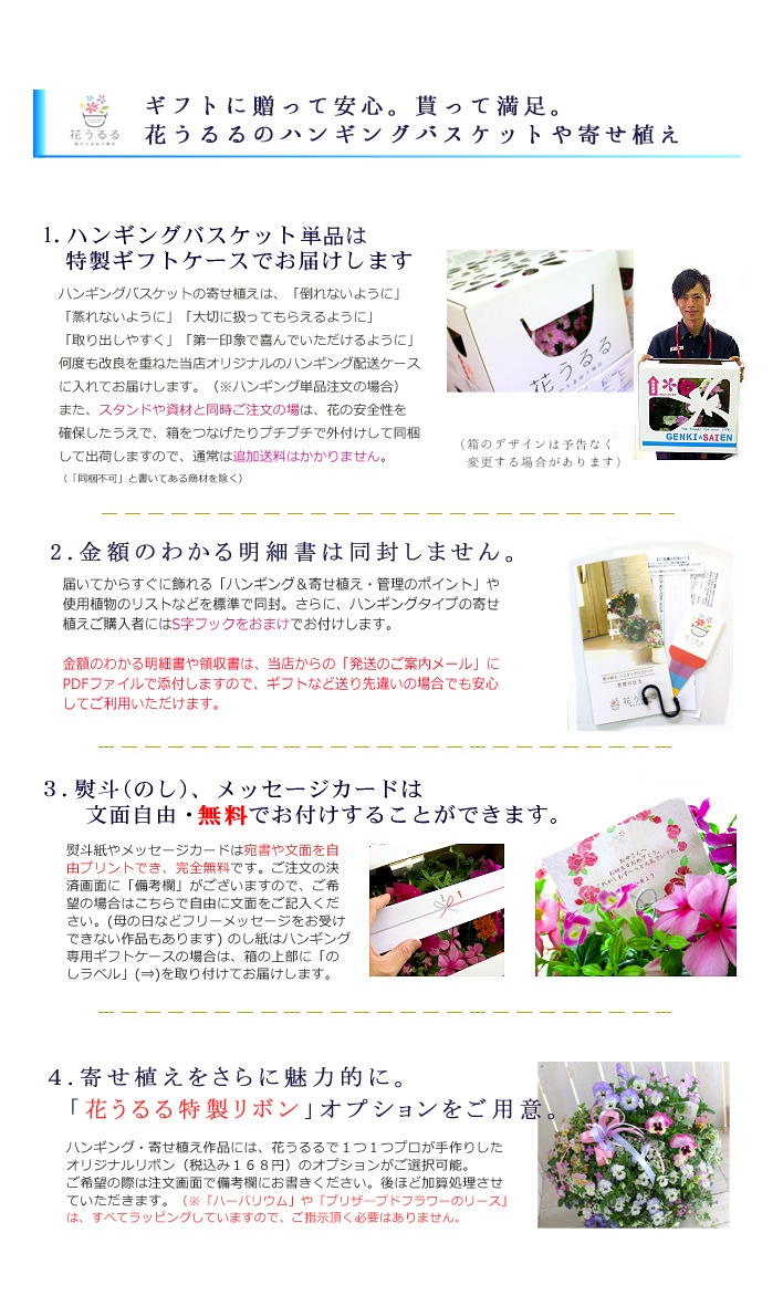 ����ȭ �緿 ���������� �饦��� �饤�ȥץ�󥿡� ��36��EB-VR3631��