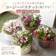 ��2�İʾ������̵���� �֤���� ����ץ� �󤻿��� �٥��˥� �˥��˥����� ����ѥ����� �ȥ�˥��ڥ��������Х����å� M�������� 