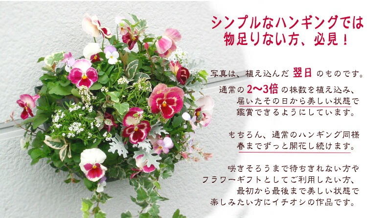 ѥ󥸡ӥΥϥ󥮥󥰥Хå 󤻿 [DX] M 