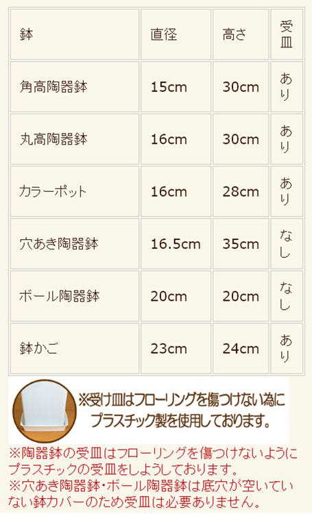 ���տ�ʪ ���󥹥٥ꥢ6��ȭ �⤵��70cm