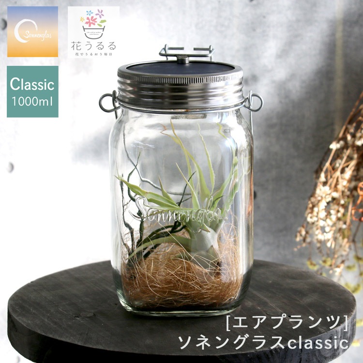 �ڿ� ���ͥ󥰥饹�߲֤����ۥ����ץ��� ����󥸡���������Ź���ݾڽ��� Classic1000ml Genelation6��