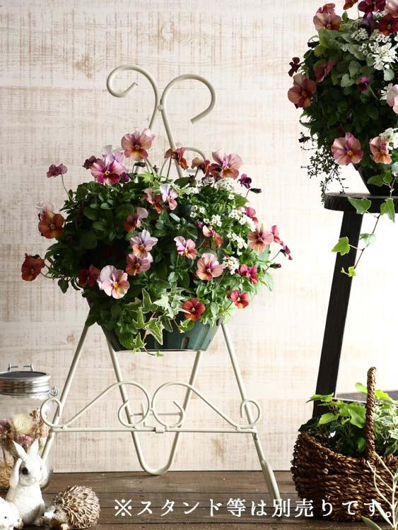 �ӥ���Υϥ󥮥󥰥Х����å� �֤���� �󤻿��� [���󤷤�] ����ץ�