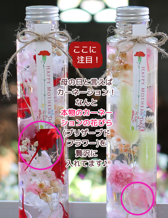 ¨ȯOKץ쥼 ֤ ϡХꥦ (͡